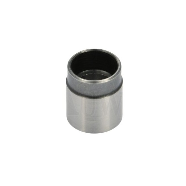 Triebel Kalibriereinsatz Bushing .291/7,39mm