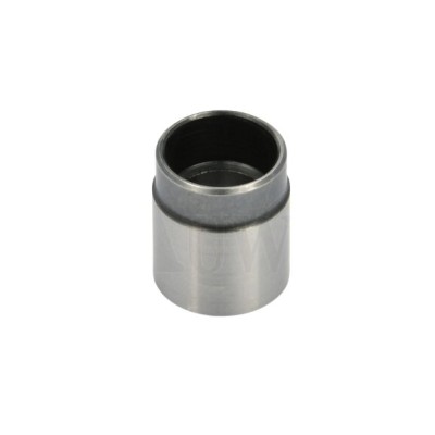 Triebel Kalibriereinsatz Bushing .291/7,39mm