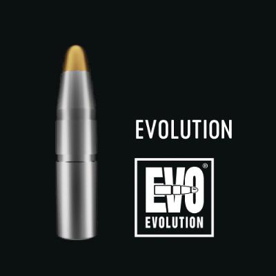 RWS Geschosse 7,62/.30 184gr EVO 50Stk. RWS Geschosse 7,62/.30 184gr EVO 50Stk.